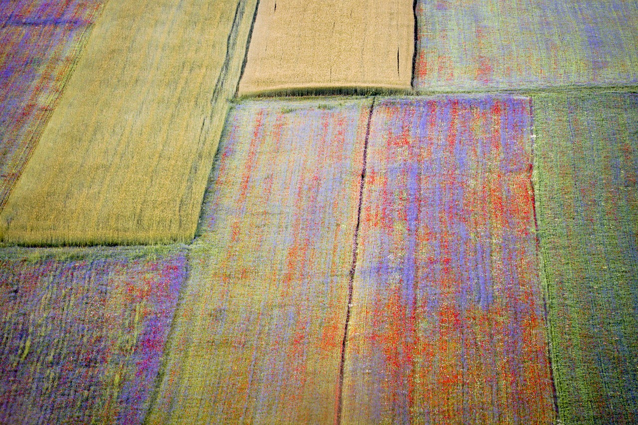 Lentilles de couleur au style moderne