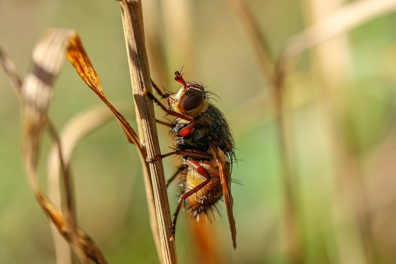 Illustration des yeux secs avec une lueur apaisante